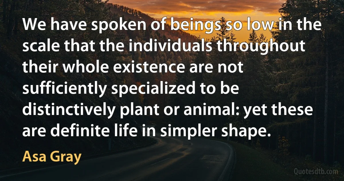 We have spoken of beings so low in the scale that the individuals throughout their whole existence are not sufficiently specialized to be distinctively plant or animal: yet these are definite life in simpler shape. (Asa Gray)