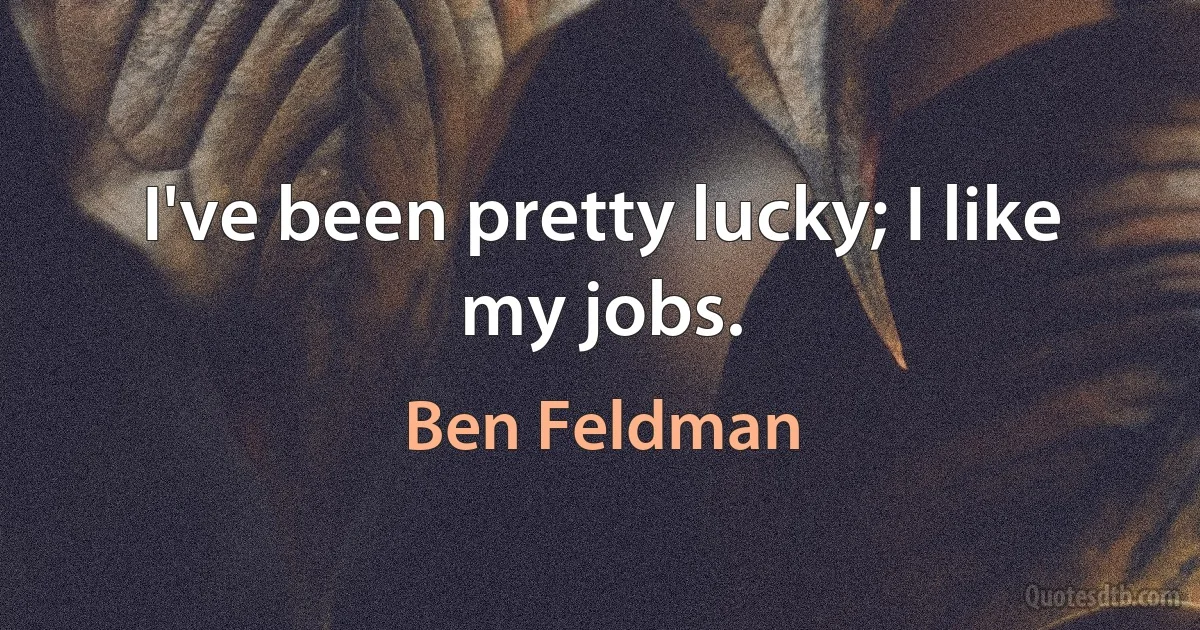 I've been pretty lucky; I like my jobs. (Ben Feldman)