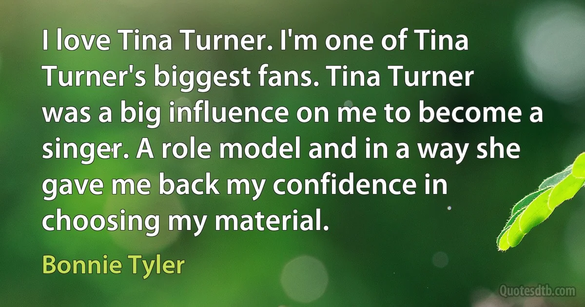 I love Tina Turner. I'm one of Tina Turner's biggest fans. Tina Turner was a big influence on me to become a singer. A role model and in a way she gave me back my confidence in choosing my material. (Bonnie Tyler)