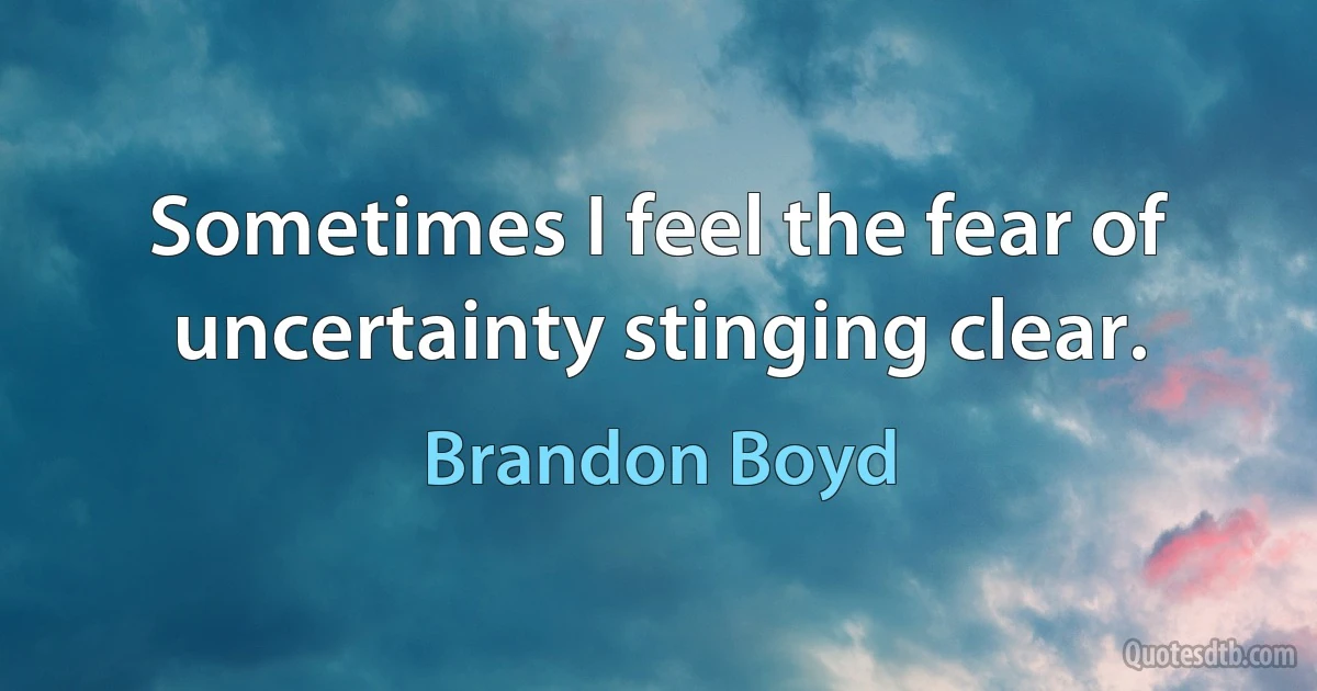 Sometimes I feel the fear of uncertainty stinging clear. (Brandon Boyd)