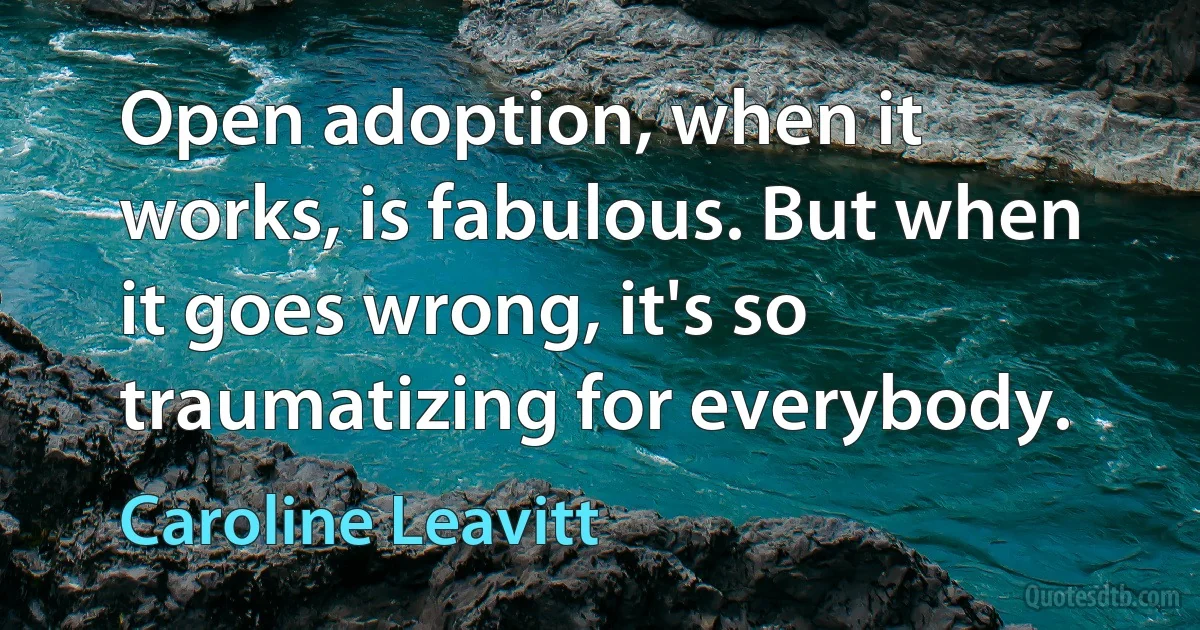 Open adoption, when it works, is fabulous. But when it goes wrong, it's so traumatizing for everybody. (Caroline Leavitt)