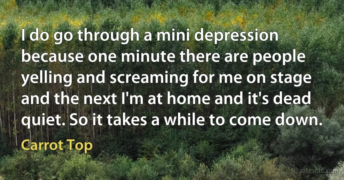 I do go through a mini depression because one minute there are people yelling and screaming for me on stage and the next I'm at home and it's dead quiet. So it takes a while to come down. (Carrot Top)