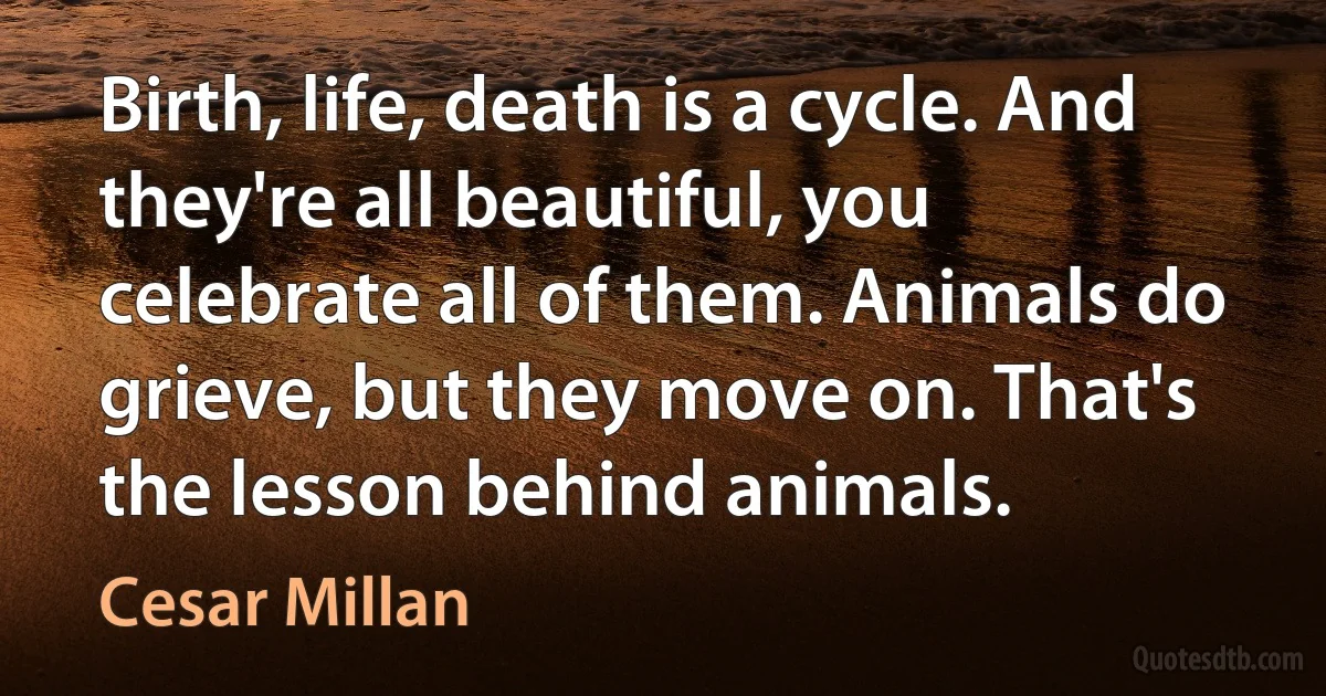 Birth, life, death is a cycle. And they're all beautiful, you celebrate all of them. Animals do grieve, but they move on. That's the lesson behind animals. (Cesar Millan)