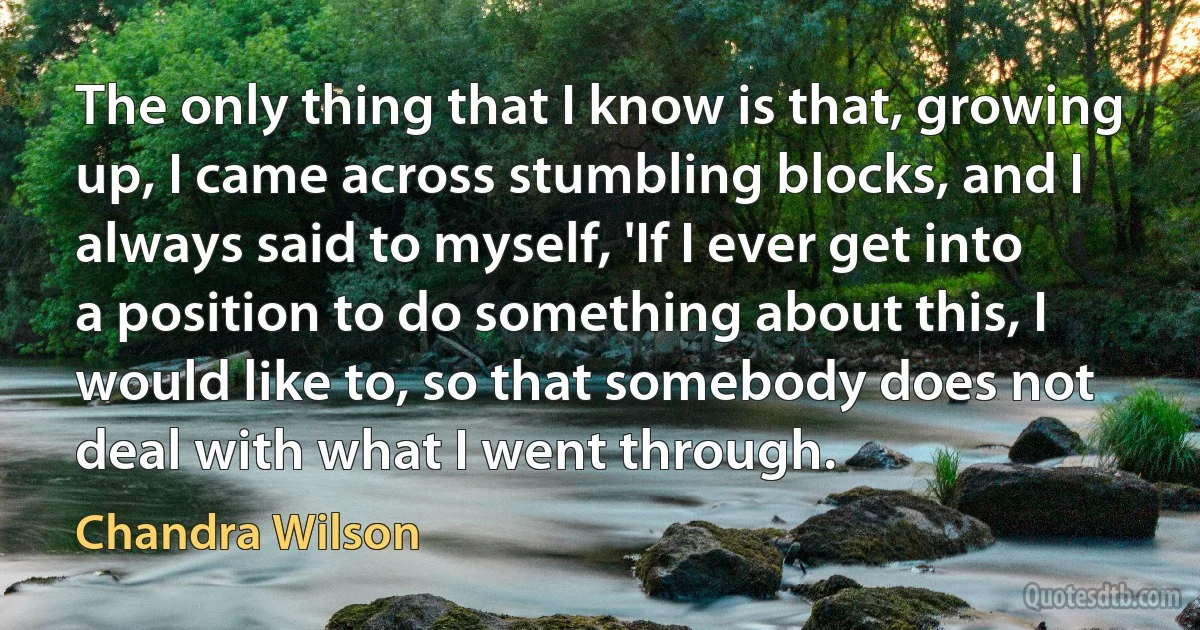 The only thing that I know is that, growing up, I came across stumbling blocks, and I always said to myself, 'If I ever get into a position to do something about this, I would like to, so that somebody does not deal with what I went through. (Chandra Wilson)