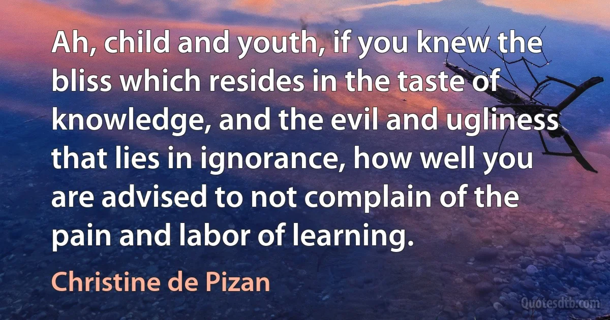 Ah, child and youth, if you knew the bliss which resides in the taste of knowledge, and the evil and ugliness that lies in ignorance, how well you are advised to not complain of the pain and labor of learning. (Christine de Pizan)