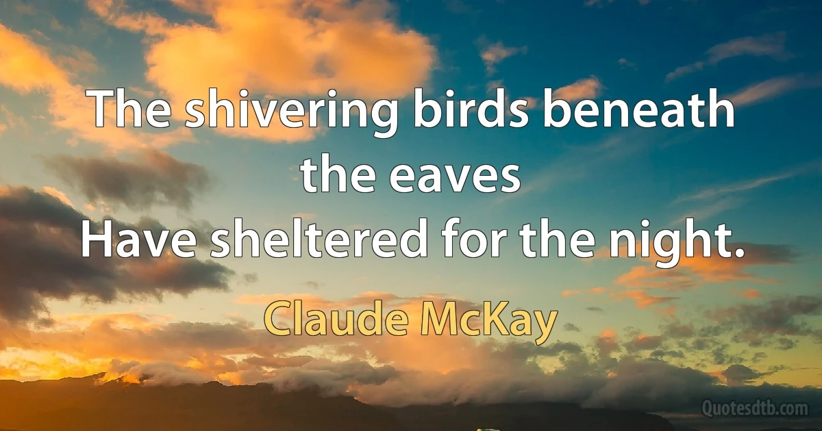 The shivering birds beneath the eaves
Have sheltered for the night. (Claude McKay)