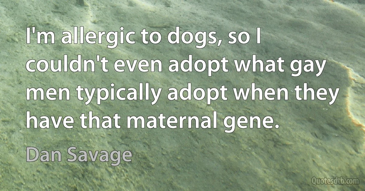 I'm allergic to dogs, so I couldn't even adopt what gay men typically adopt when they have that maternal gene. (Dan Savage)