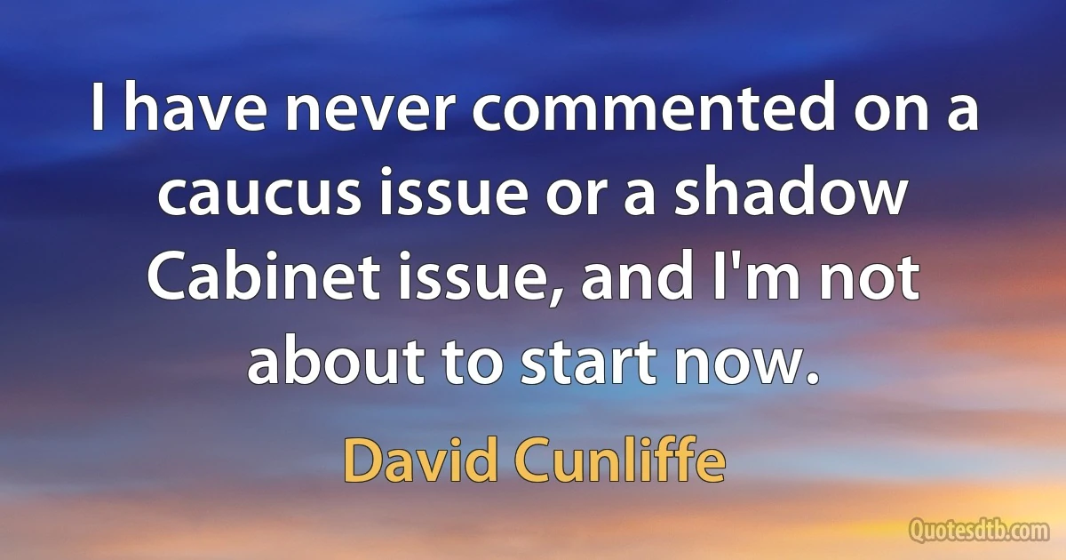 I have never commented on a caucus issue or a shadow Cabinet issue, and I'm not about to start now. (David Cunliffe)