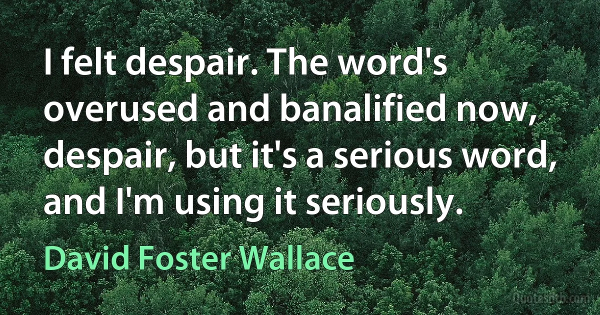 I felt despair. The word's overused and banalified now, despair, but it's a serious word, and I'm using it seriously. (David Foster Wallace)