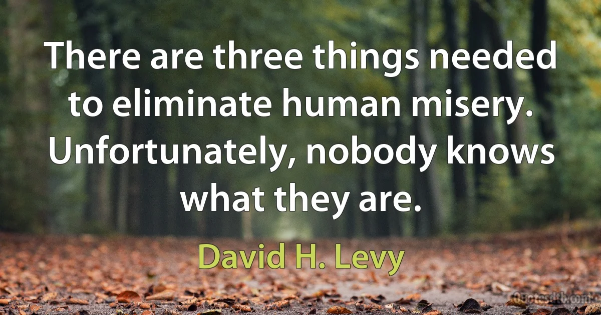 There are three things needed to eliminate human misery. Unfortunately, nobody knows what they are. (David H. Levy)