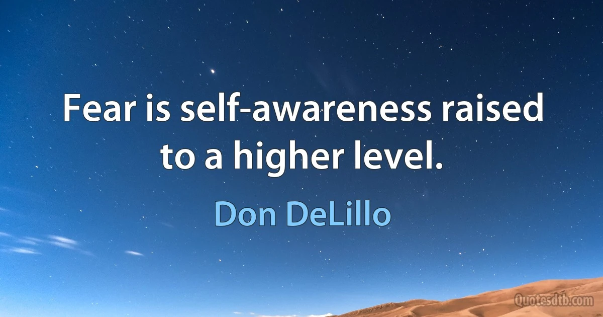 Fear is self-awareness raised to a higher level. (Don DeLillo)