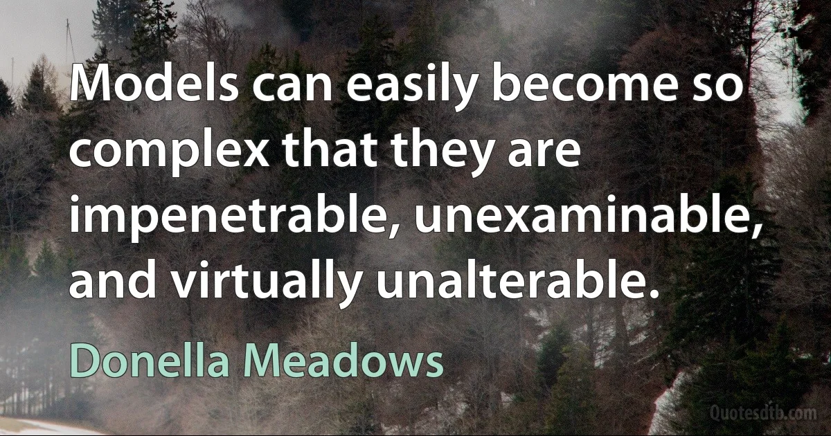 Models can easily become so complex that they are impenetrable, unexaminable, and virtually unalterable. (Donella Meadows)