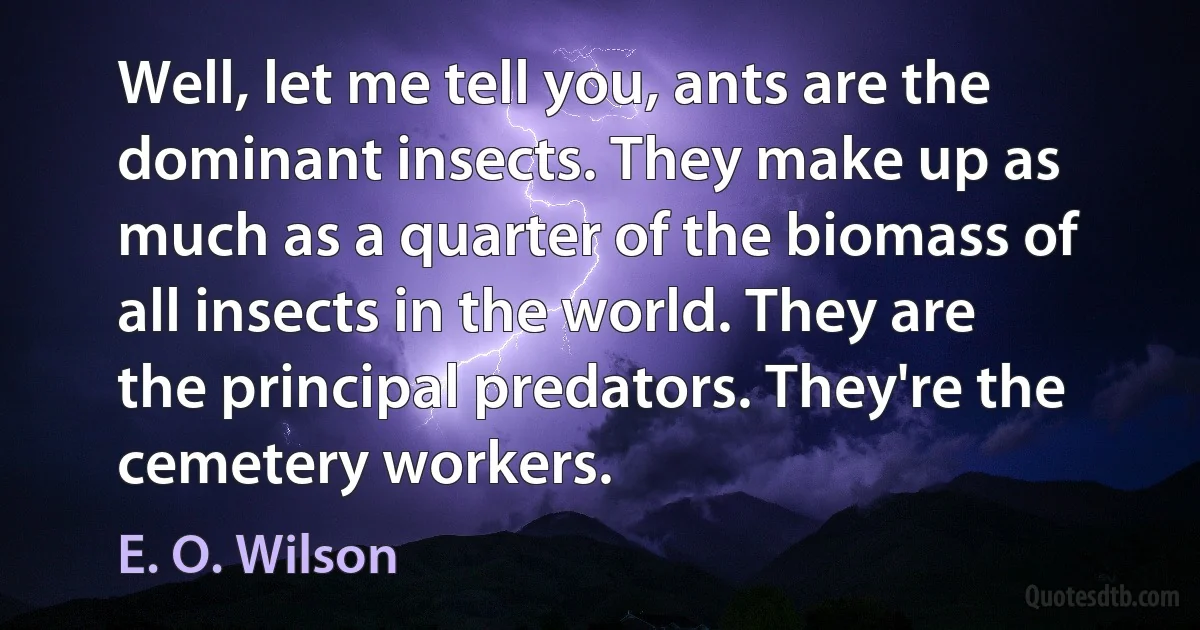 Well, let me tell you, ants are the dominant insects. They make up as much as a quarter of the biomass of all insects in the world. They are the principal predators. They're the cemetery workers. (E. O. Wilson)