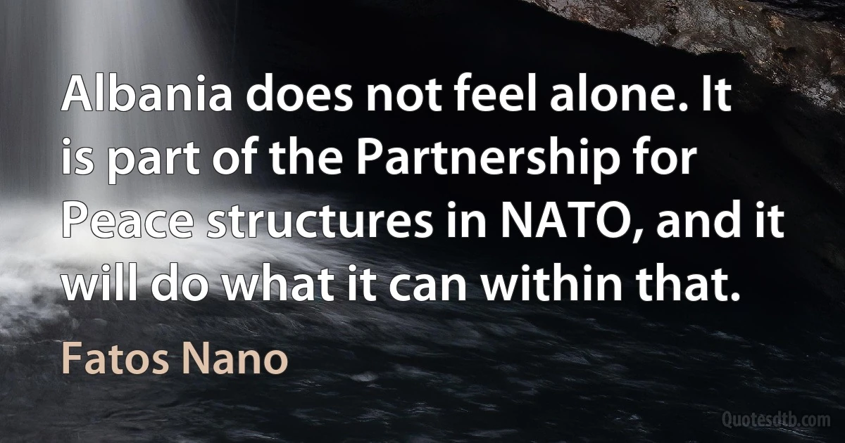 Albania does not feel alone. It is part of the Partnership for Peace structures in NATO, and it will do what it can within that. (Fatos Nano)