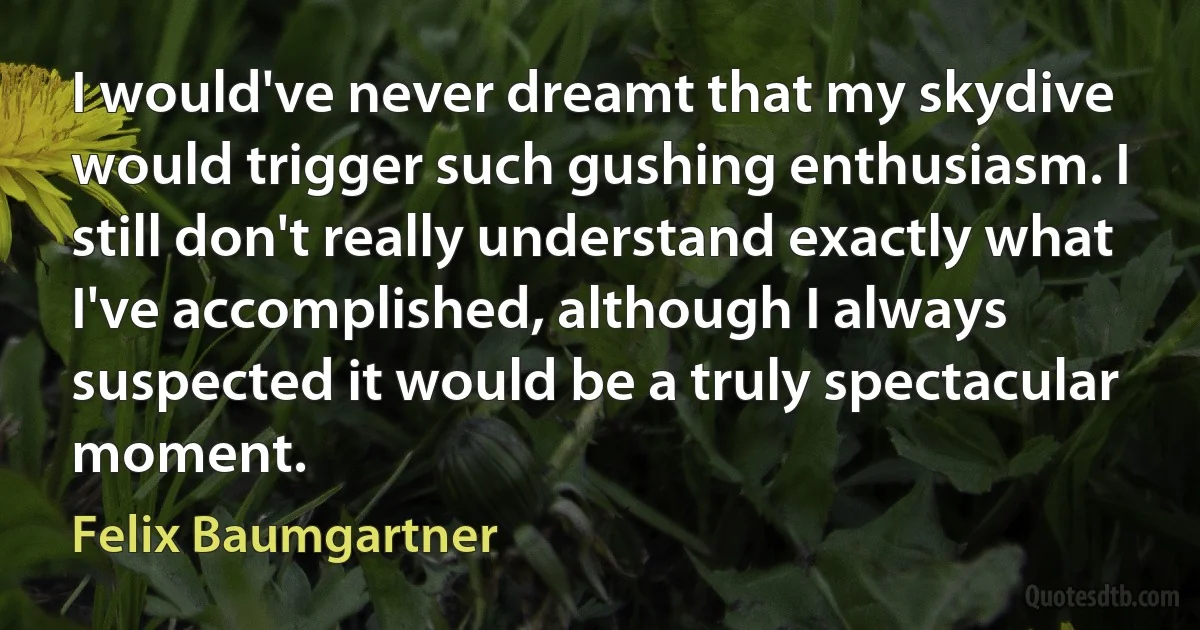 I would've never dreamt that my skydive would trigger such gushing enthusiasm. I still don't really understand exactly what I've accomplished, although I always suspected it would be a truly spectacular moment. (Felix Baumgartner)