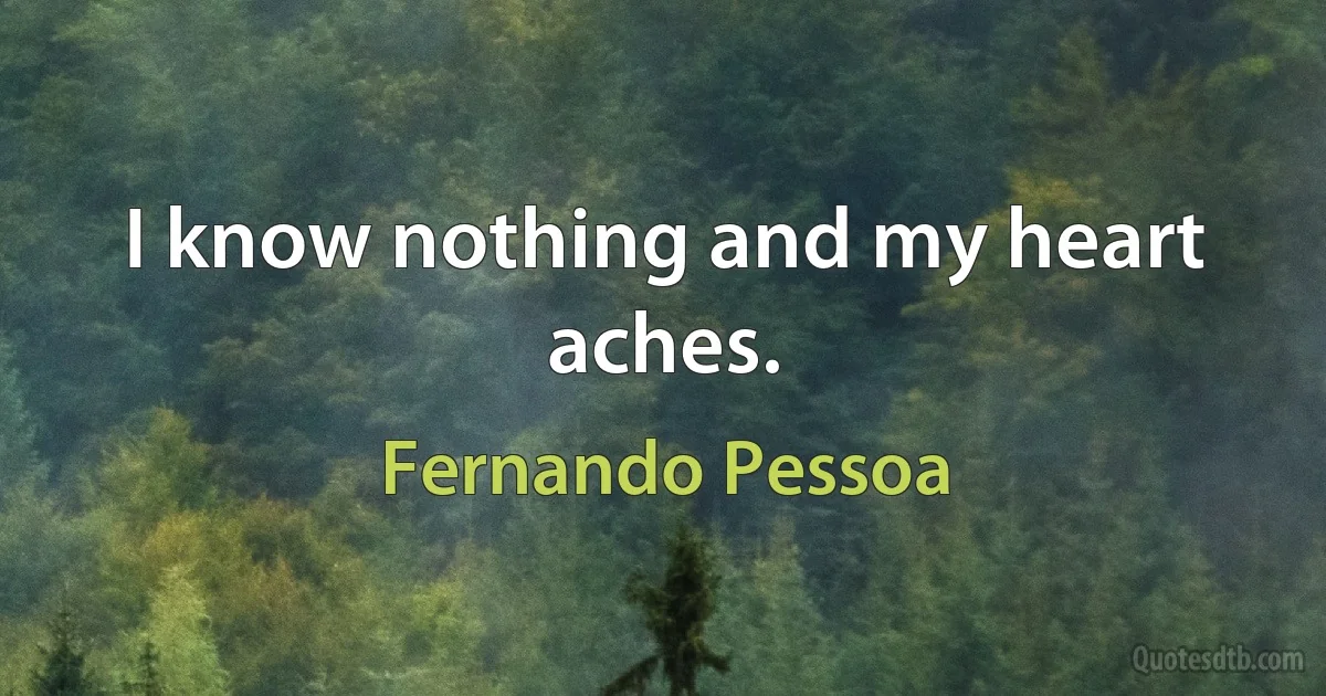 I know nothing and my heart aches. (Fernando Pessoa)