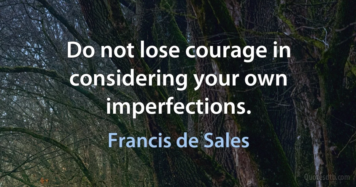 Do not lose courage in considering your own imperfections. (Francis de Sales)