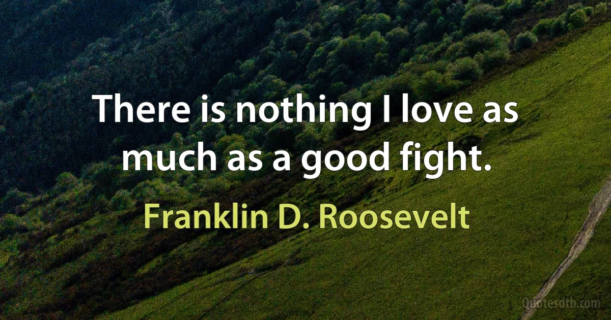 There is nothing I love as much as a good fight. (Franklin D. Roosevelt)