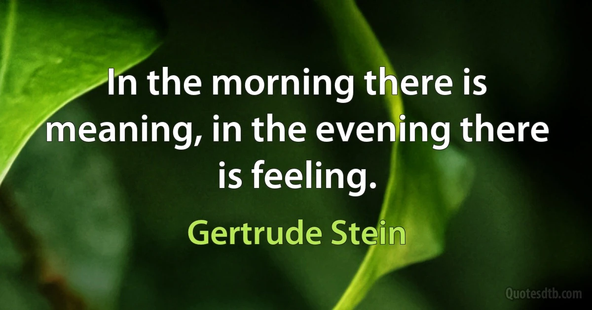 In the morning there is meaning, in the evening there is feeling. (Gertrude Stein)