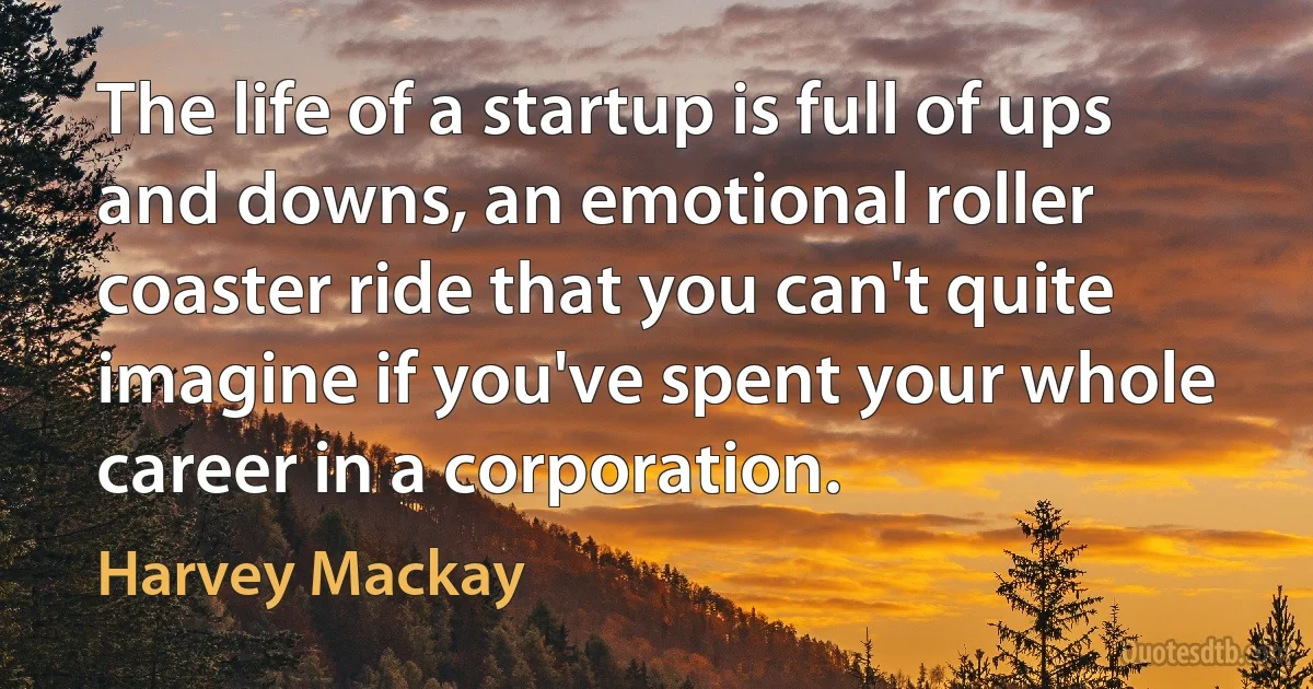 The life of a startup is full of ups and downs, an emotional roller coaster ride that you can't quite imagine if you've spent your whole career in a corporation. (Harvey Mackay)