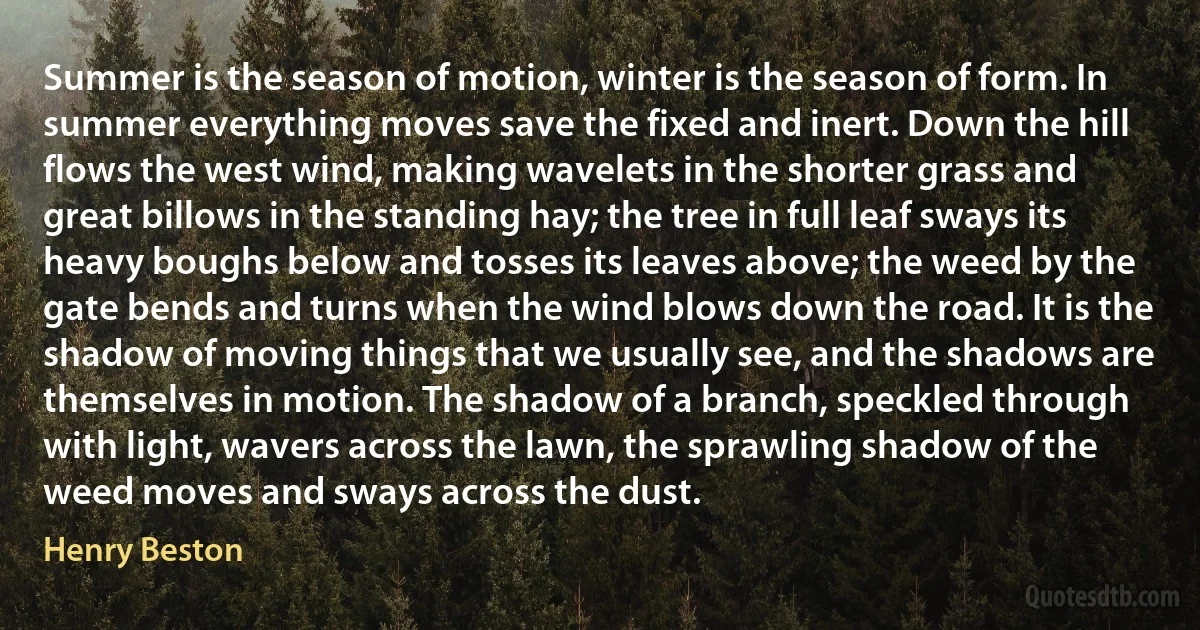 Summer is the season of motion, winter is the season of form. In summer everything moves save the fixed and inert. Down the hill flows the west wind, making wavelets in the shorter grass and great billows in the standing hay; the tree in full leaf sways its heavy boughs below and tosses its leaves above; the weed by the gate bends and turns when the wind blows down the road. It is the shadow of moving things that we usually see, and the shadows are themselves in motion. The shadow of a branch, speckled through with light, wavers across the lawn, the sprawling shadow of the weed moves and sways across the dust. (Henry Beston)