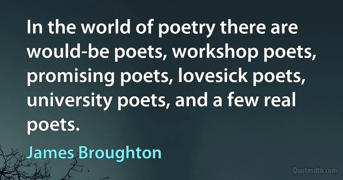 In the world of poetry there are would-be poets, workshop poets, promising poets, lovesick poets, university poets, and a few real poets. (James Broughton)