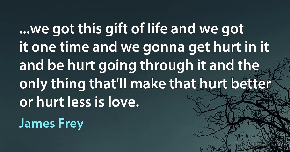 ...we got this gift of life and we got it one time and we gonna get hurt in it and be hurt going through it and the only thing that'll make that hurt better or hurt less is love. (James Frey)