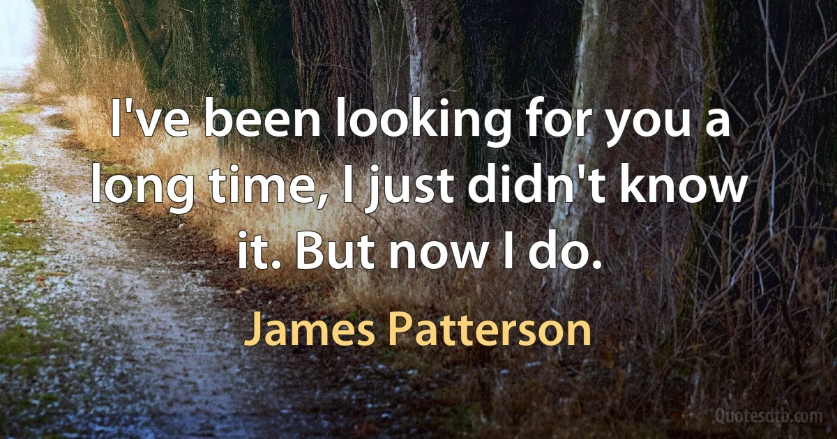 I've been looking for you a long time, I just didn't know it. But now I do. (James Patterson)