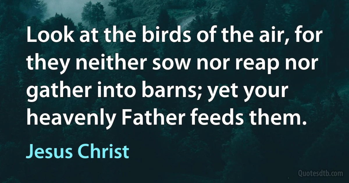 Look at the birds of the air, for they neither sow nor reap nor gather into barns; yet your heavenly Father feeds them. (Jesus Christ)