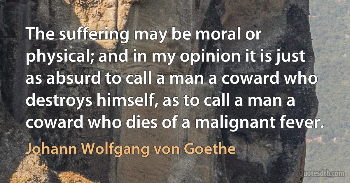 The suffering may be moral or physical; and in my opinion it is just as absurd to call a man a coward who destroys himself, as to call a man a coward who dies of a malignant fever. (Johann Wolfgang von Goethe)