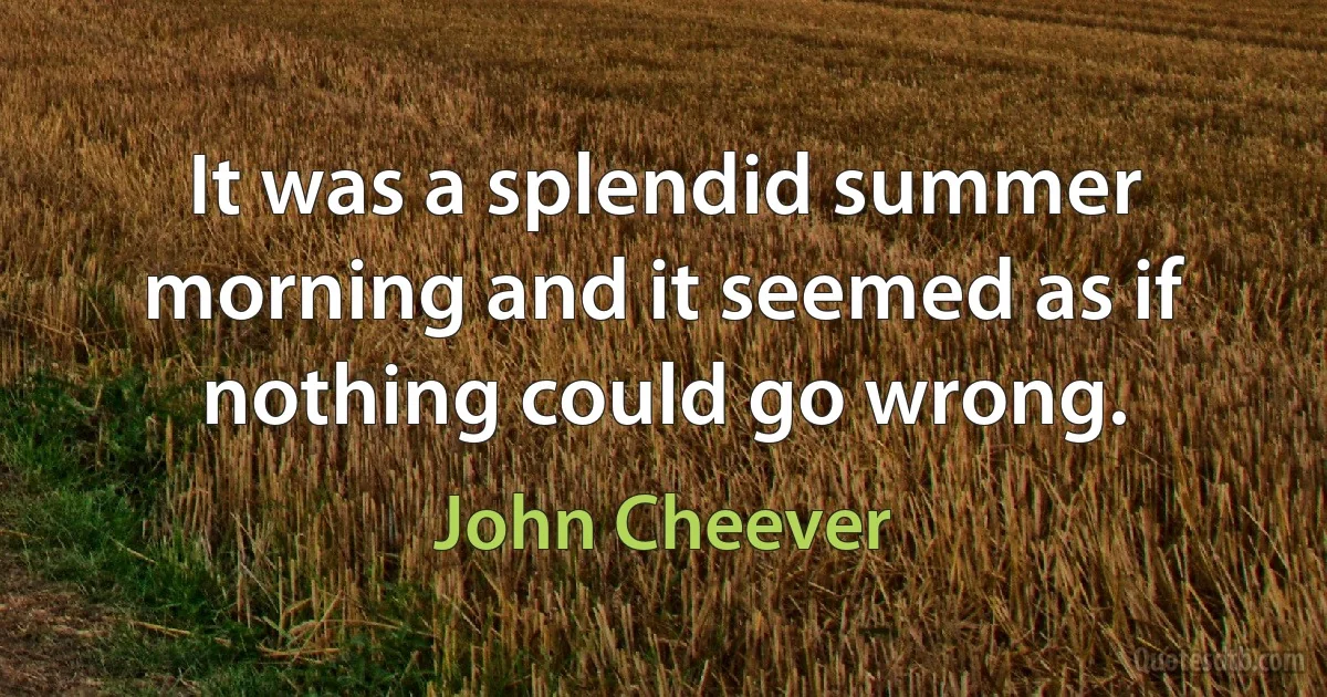 It was a splendid summer morning and it seemed as if nothing could go wrong. (John Cheever)