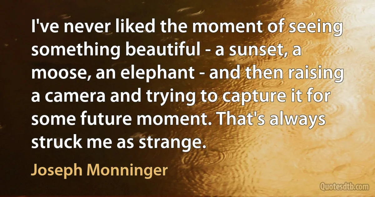 I've never liked the moment of seeing something beautiful - a sunset, a moose, an elephant - and then raising a camera and trying to capture it for some future moment. That's always struck me as strange. (Joseph Monninger)