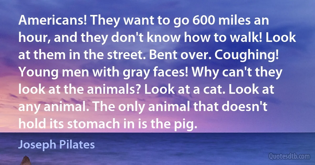 Americans! They want to go 600 miles an hour, and they don't know how to walk! Look at them in the street. Bent over. Coughing! Young men with gray faces! Why can't they look at the animals? Look at a cat. Look at any animal. The only animal that doesn't hold its stomach in is the pig. (Joseph Pilates)