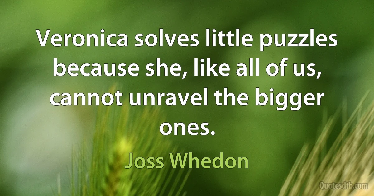 Veronica solves little puzzles because she, like all of us, cannot unravel the bigger ones. (Joss Whedon)