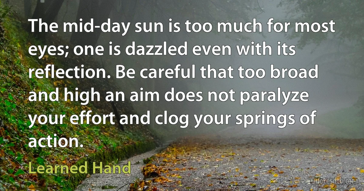 The mid-day sun is too much for most eyes; one is dazzled even with its reflection. Be careful that too broad and high an aim does not paralyze your effort and clog your springs of action. (Learned Hand)