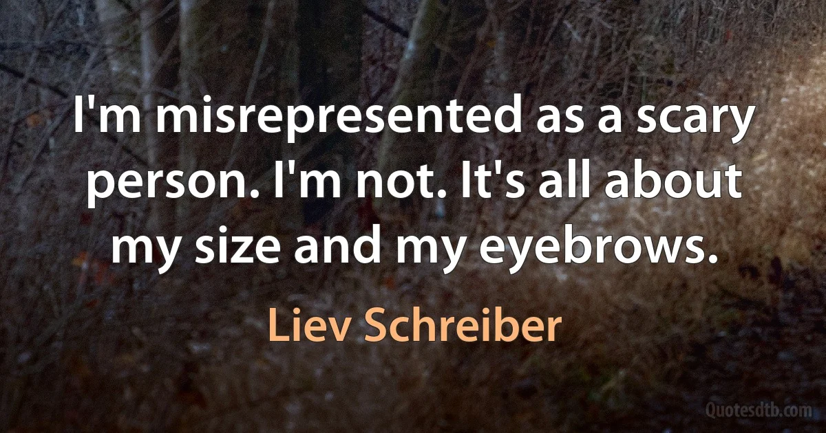 I'm misrepresented as a scary person. I'm not. It's all about my size and my eyebrows. (Liev Schreiber)