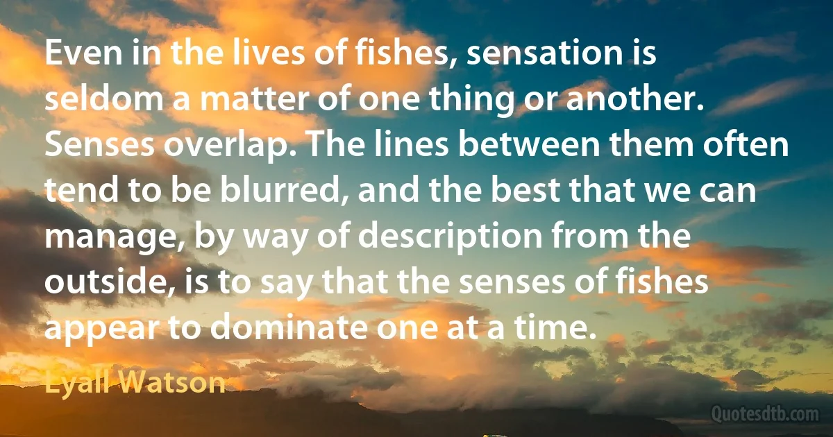 Even in the lives of fishes, sensation is seldom a matter of one thing or another. Senses overlap. The lines between them often tend to be blurred, and the best that we can manage, by way of description from the outside, is to say that the senses of fishes appear to dominate one at a time. (Lyall Watson)