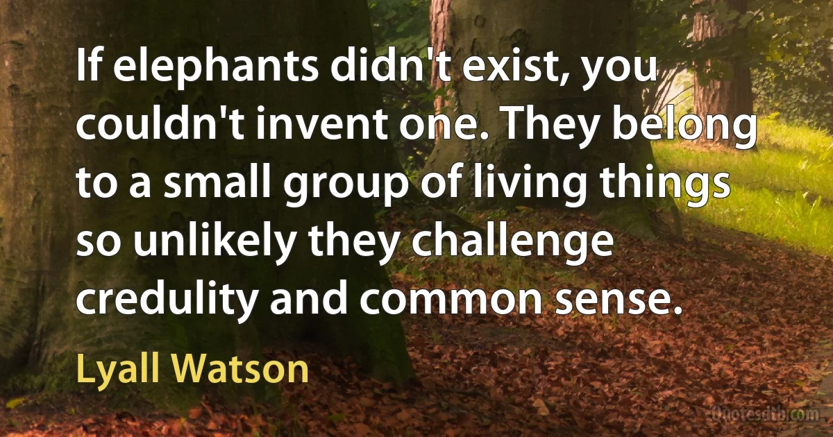 If elephants didn't exist, you couldn't invent one. They belong to a small group of living things so unlikely they challenge credulity and common sense. (Lyall Watson)