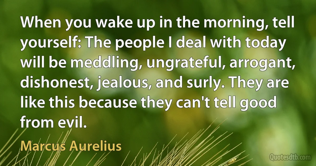 When you wake up in the morning, tell yourself: The people I deal with today will be meddling, ungrateful, arrogant, dishonest, jealous, and surly. They are like this because they can't tell good from evil. (Marcus Aurelius)