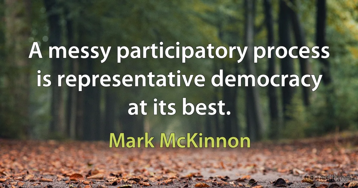 A messy participatory process is representative democracy at its best. (Mark McKinnon)