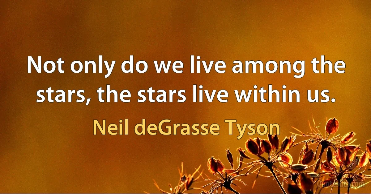 Not only do we live among the stars, the stars live within us. (Neil deGrasse Tyson)