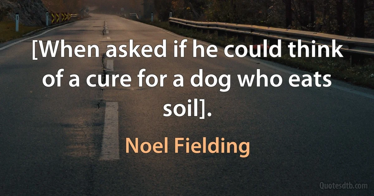 [When asked if he could think of a cure for a dog who eats soil]. (Noel Fielding)