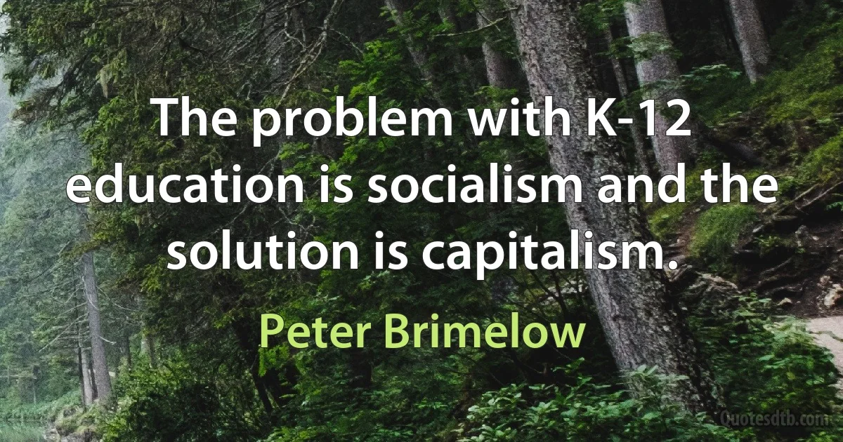 The problem with K-12 education is socialism and the solution is capitalism. (Peter Brimelow)