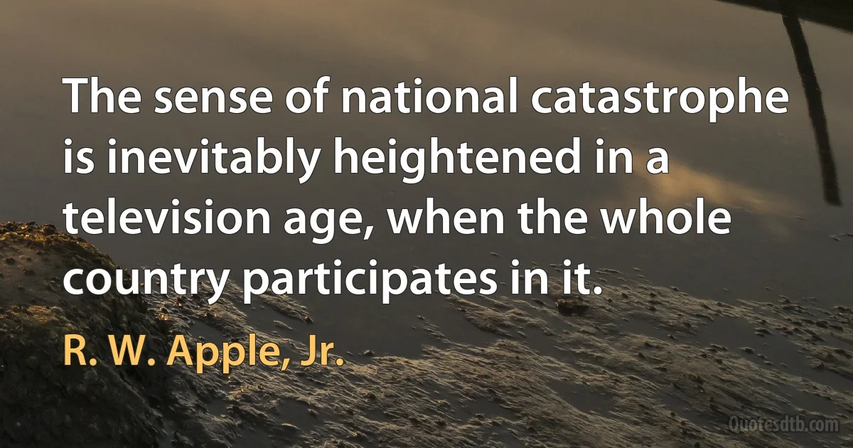 The sense of national catastrophe is inevitably heightened in a television age, when the whole country participates in it. (R. W. Apple, Jr.)