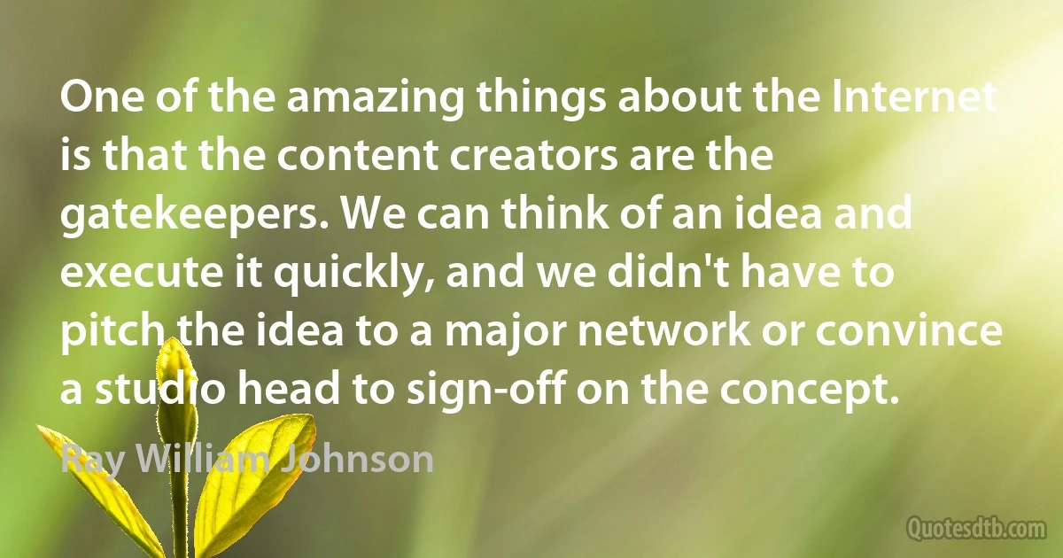 One of the amazing things about the Internet is that the content creators are the gatekeepers. We can think of an idea and execute it quickly, and we didn't have to pitch the idea to a major network or convince a studio head to sign-off on the concept. (Ray William Johnson)