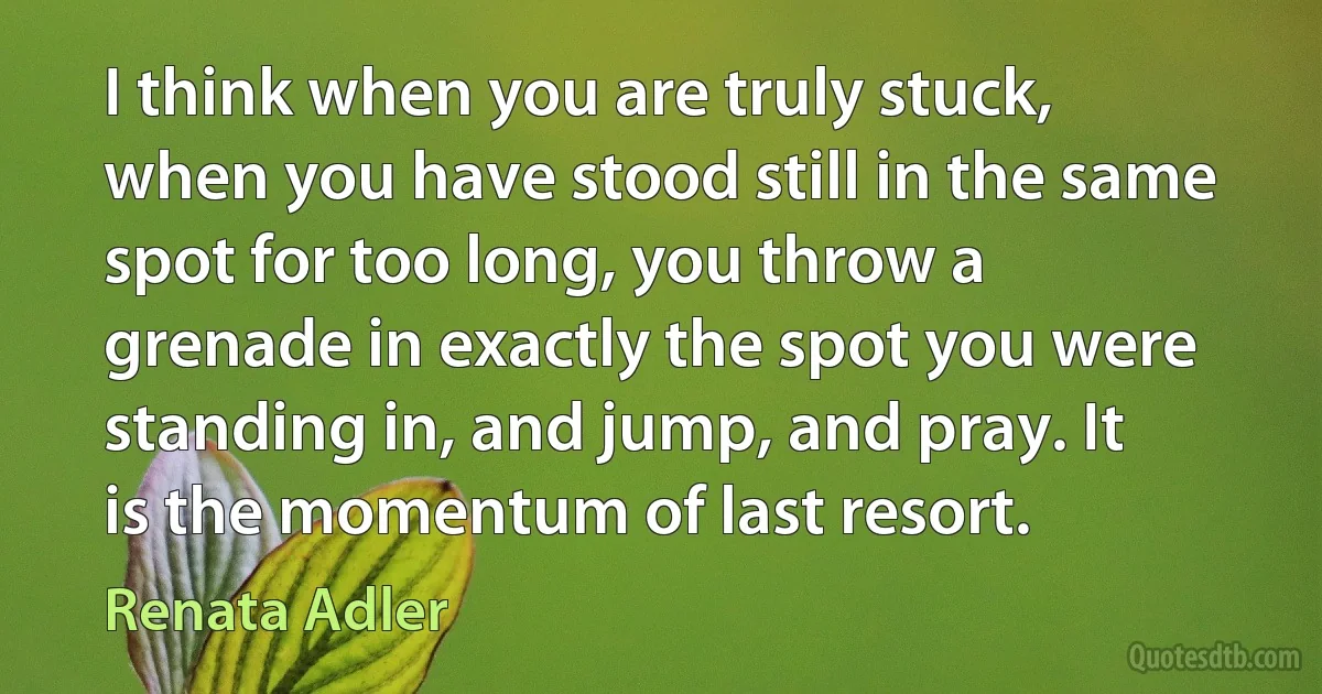 I think when you are truly stuck, when you have stood still in the same spot for too long, you throw a grenade in exactly the spot you were standing in, and jump, and pray. It is the momentum of last resort. (Renata Adler)