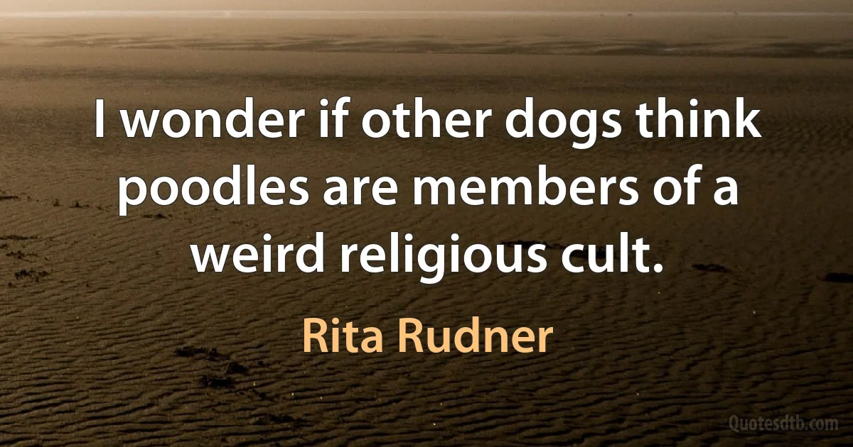 I wonder if other dogs think poodles are members of a weird religious cult. (Rita Rudner)