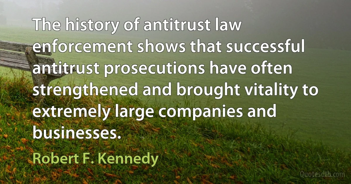 The history of antitrust law enforcement shows that successful antitrust prosecutions have often strengthened and brought vitality to extremely large companies and businesses. (Robert F. Kennedy)