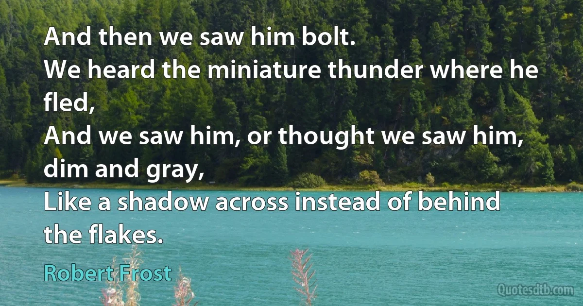 And then we saw him bolt.
We heard the miniature thunder where he fled,
And we saw him, or thought we saw him, dim and gray,
Like a shadow across instead of behind the flakes. (Robert Frost)