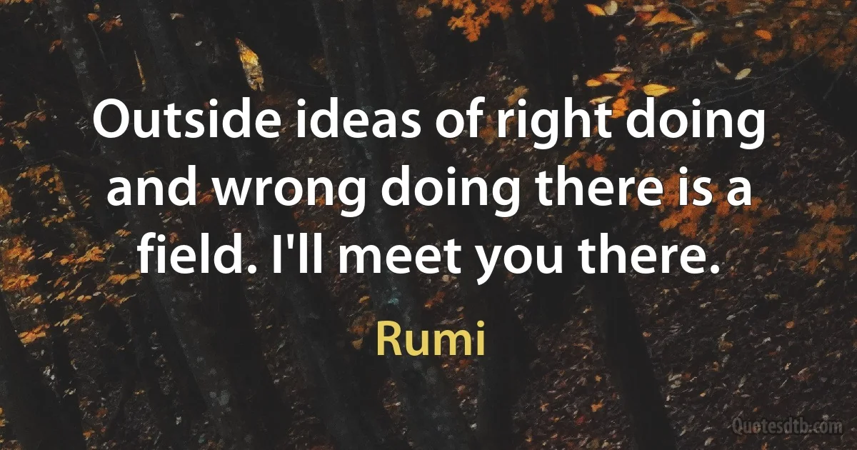 Outside ideas of right doing and wrong doing there is a field. I'll meet you there. (Rumi)